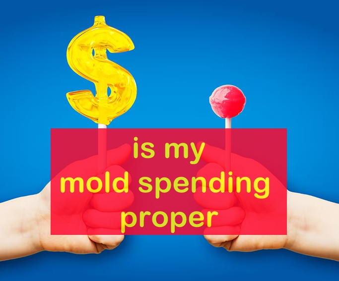 Mold Cost Evaluation for Successful Plastic Production Projects